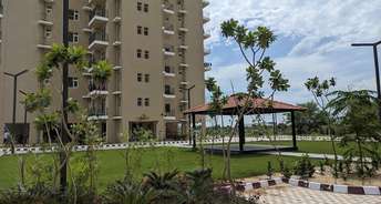 2 BHK Apartment For Rent in ROF Ananda Sector 95 Gurgaon 6751231