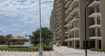 1 BHK Apartment For Rent in ROF Ananda Sector 95 Gurgaon 6751240