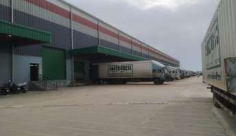 Commercial Warehouse 55000 Sq.Ft. For Rent In Dadri Main Road Greater Noida 6751328