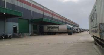 Commercial Warehouse 55000 Sq.Ft. For Rent In Dadri Main Road Greater Noida 6751328