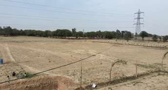  Plot For Resale in Pali Road Faridabad 6751935