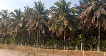 Commercial Land 8 Acre For Resale In Belur Road Hassan 6751918