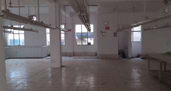 Commercial Warehouse 550 Sq.Ft. For Resale In Sector 37b Gurgaon 6752127