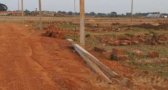  Plot For Resale in Nakhara Cuttack 6752166