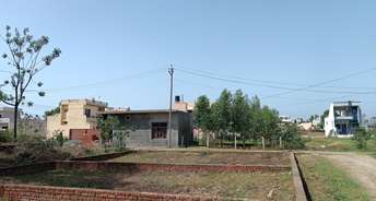  Plot For Resale in Aslamabad Hoshiarpur 6752183