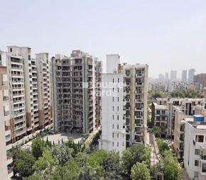 3 BHK Apartment For Rent in Abhinandan CGHS Sector 51 Gurgaon  6752216