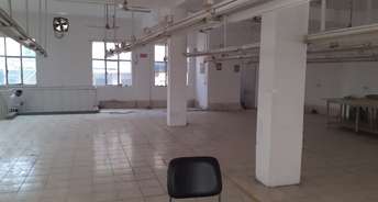 Commercial Warehouse 11000 Sq.Ft. For Rent In Pace City 2 Gurgaon 6752267