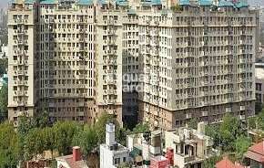 3 BHK Builder Floor For Rent in DLF City Gurgaon Sector 27 Gurgaon 6752366