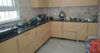 3 BHK Apartment For Rent in The Grand Sector 52 Gurgaon 6752379