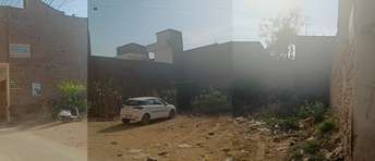  Plot For Resale in Agrasain Colony Sirsa 6752437