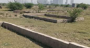  Plot For Resale in Amarpali Silicon City Noida 6752793