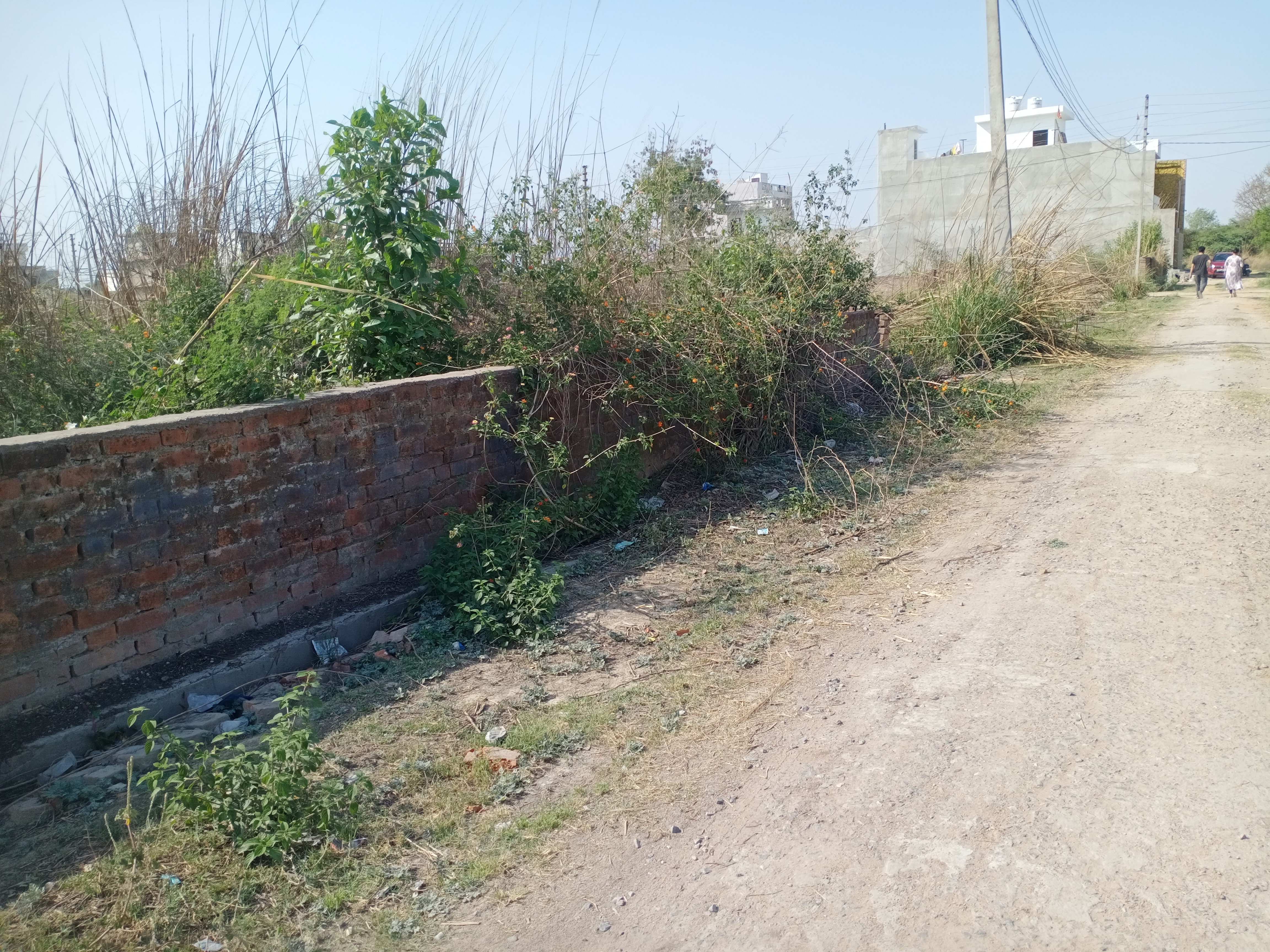 Plot For Resale in Bijnor Road Lucknow  6752813