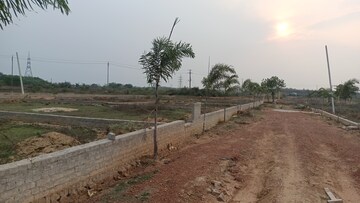 Plot For Resale in Jujhagada Bhubaneswar  6753161