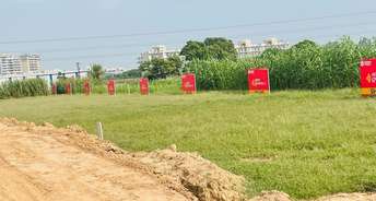  Plot For Resale in Sector 115 Chandigarh 6753148