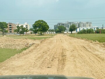 Plot For Resale in Sector 115 Chandigarh  6753155