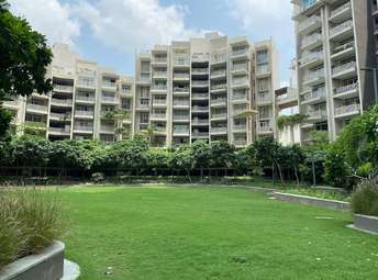 2 BHK Apartment For Rent in Ireo Victory Valley Sector 67 Gurgaon 6753604