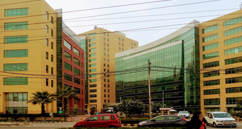 Commercial Office Space 8500 Sq.Ft. For Rent In Sector 41 Gurgaon 6753615