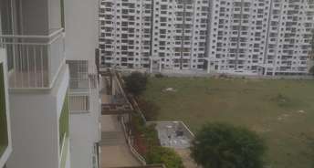 2 BHK Apartment For Rent in Salarpuria Sattva Park Cubix Devanahalli Bangalore 6753645