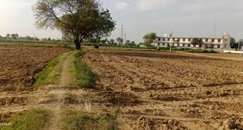  Plot For Resale in Saimari Agra 6753724