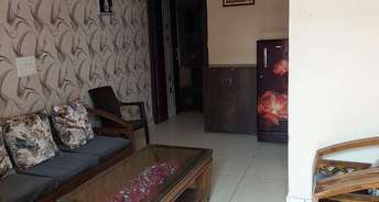 1 BHK Apartment For Rent in Sector 127 Mohali 6754013