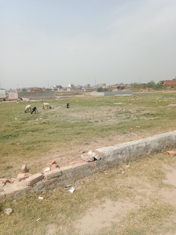 Plot For Resale in Sector 81 Noida  6754025