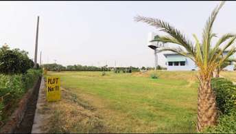 Plot For Resale in Jewar Greater Noida  6754169