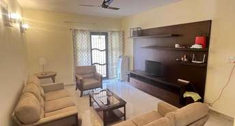3 BHK Apartment For Rent in Adithi Apartments Hebbal Bangalore 6754238