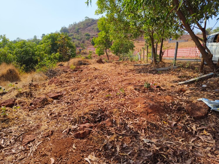 undefined, mangaon  10000 Sq.Ft. Plot In Mangaon Raigad 6754307