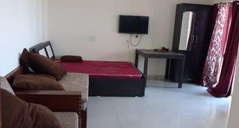 1 RK Apartment For Resale in Amanora Metro Tower Hadapsar Pune 6754337