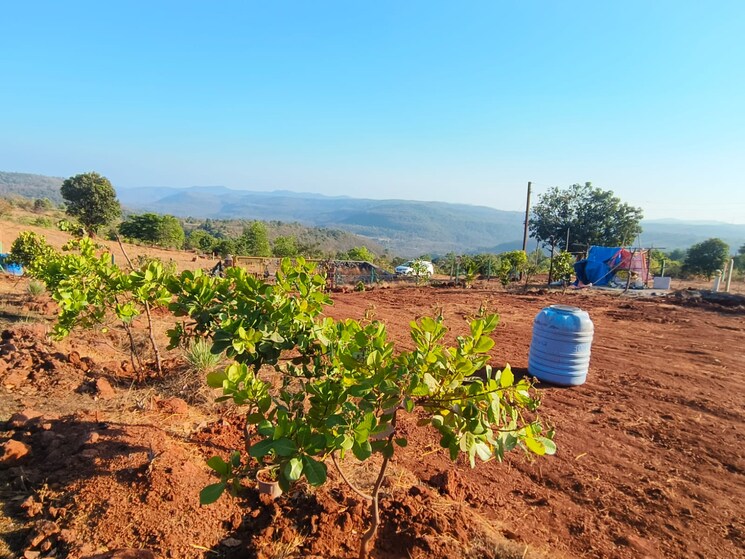 undefined, mangaon  10000 Sq.Ft. Plot In Mangaon Raigad 6754399