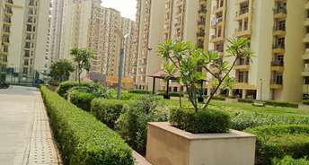 3 BHK Apartment For Rent in Antriksh Golf View Sector 78 Noida 6754583