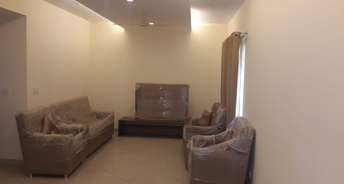 3 BHK Apartment For Rent in Sobha Chrysanthemum Thanisandra Bangalore 6754795