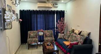 1 BHK Apartment For Rent in Kharar Road Mohali 6754812