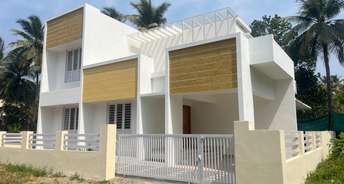 3 BHK Villa For Resale in Chiyyaram Thrissur 6754840