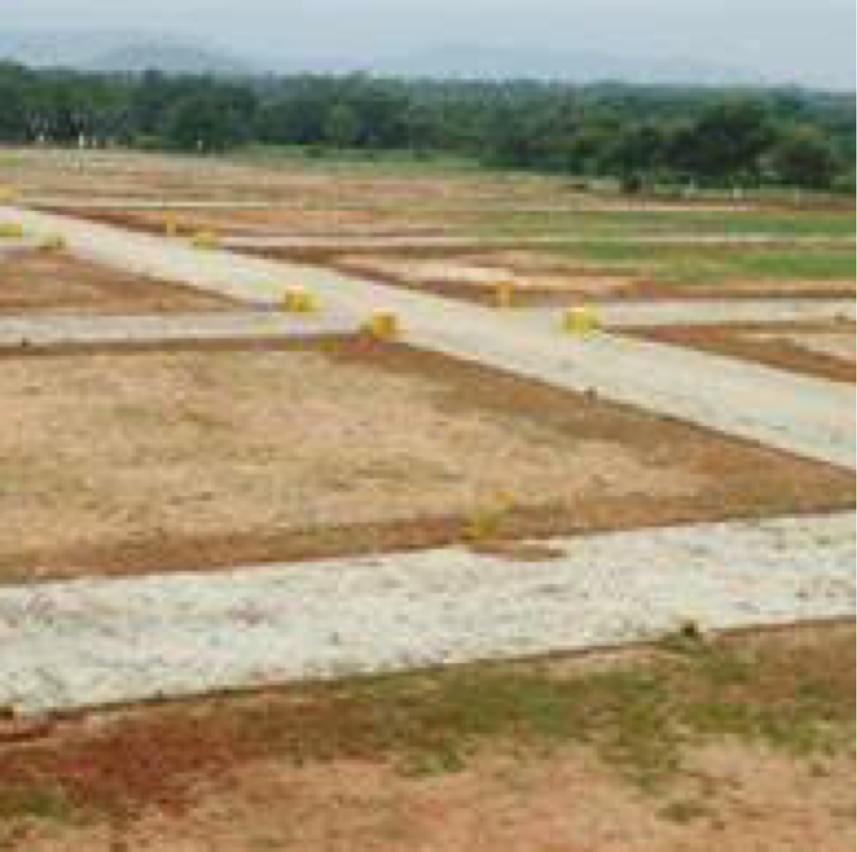 Plot For Resale in Faridabad Central Faridabad  6755071