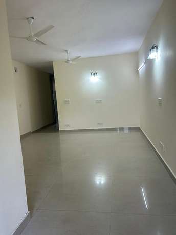 3 BHK Builder Floor For Rent in RWA Greater Kailash 1 Greater Kailash I Delhi 6755867