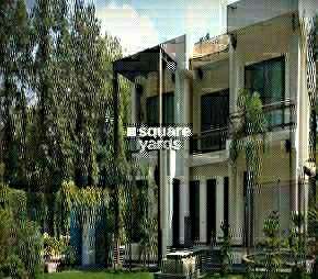 5 BHK Villa For Rent in DLF Chattarpur Farms Chattarpur Delhi 6756274