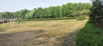 Plot For Resale in Jewar Greater Noida  6756278