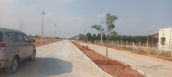 Plot For Resale in Fortune Butterfly City Kadthal Hyderabad  6756294