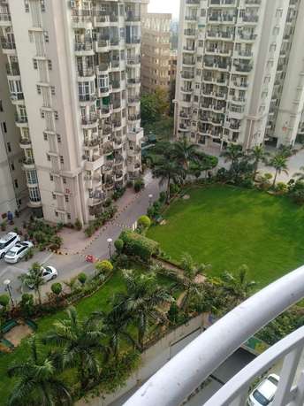 3 BHK Apartment For Rent in Maple Heights Sector 43 Gurgaon  6756466