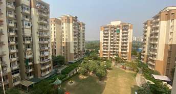3 BHK Apartment For Rent in Tulip Petals Sector 89 Gurgaon 6756708