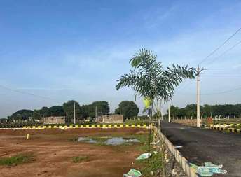  Plot For Resale in Tambaram Chennai 6756764