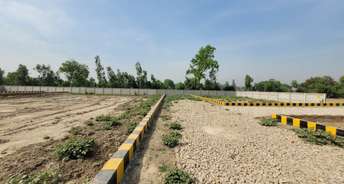  Plot For Resale in Barha Lucknow 6756817