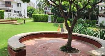 4 BHK Villa For Rent in Nirvana Country Birch Court Sector 50 Gurgaon 6756865