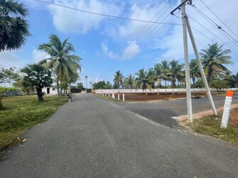 Plot For Resale in Ecr Green Mahabalipuram Chennai  6756923