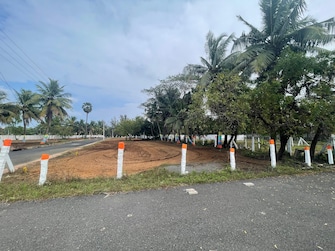 Plot For Resale in Ecr Green Mahabalipuram Chennai  6756923