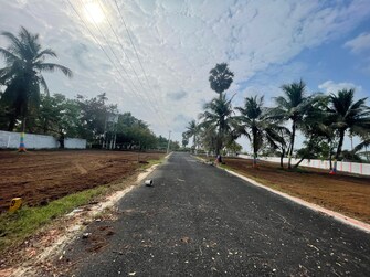 Plot For Resale in Ecr Green Mahabalipuram Chennai  6756923