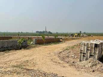  Plot For Resale in Tappal  Greater Noida 6757326
