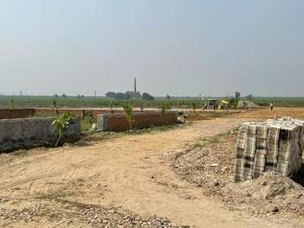 Plot For Resale in Tappal  Greater Noida  6757326