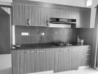 2 BHK Apartment For Rent in Sobha Dream Acres Panathur Bangalore 6757355